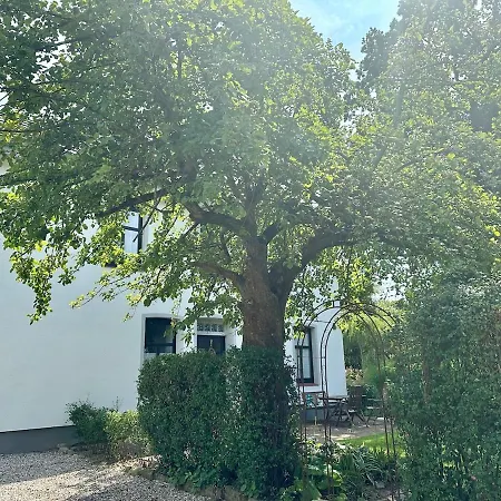 Apartment Im Grünen
