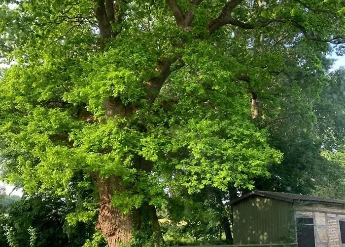 Appartement Im Gruenen *